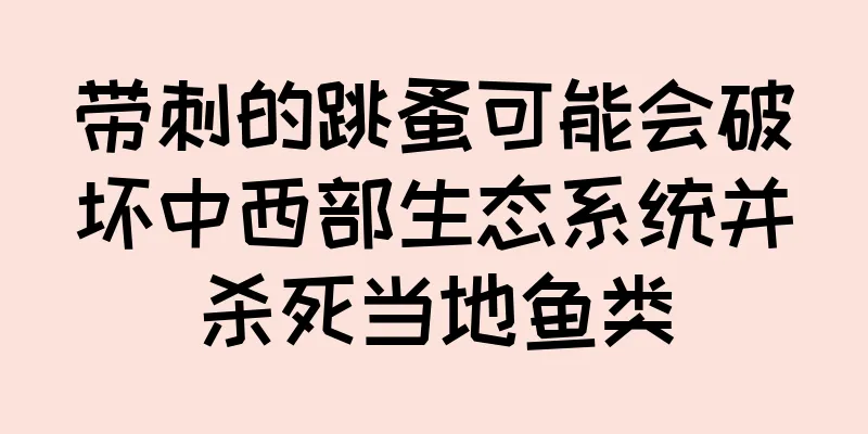 带刺的跳蚤可能会破坏中西部生态系统并杀死当地鱼类