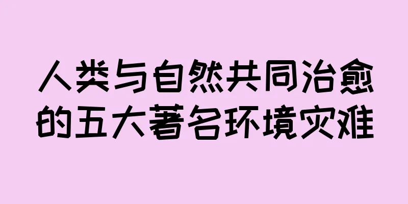 人类与自然共同治愈的五大著名环境灾难