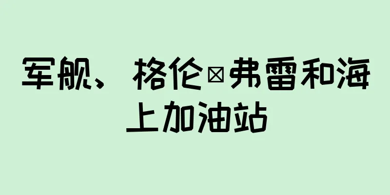 军舰、格伦·弗雷和海上加油站