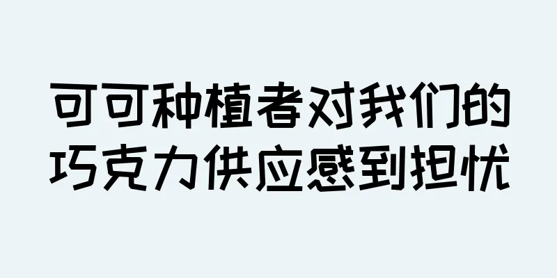 可可种植者对我们的巧克力供应感到担忧