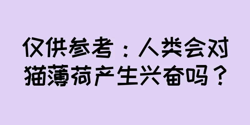 仅供参考：人类会对猫薄荷产生兴奋吗？