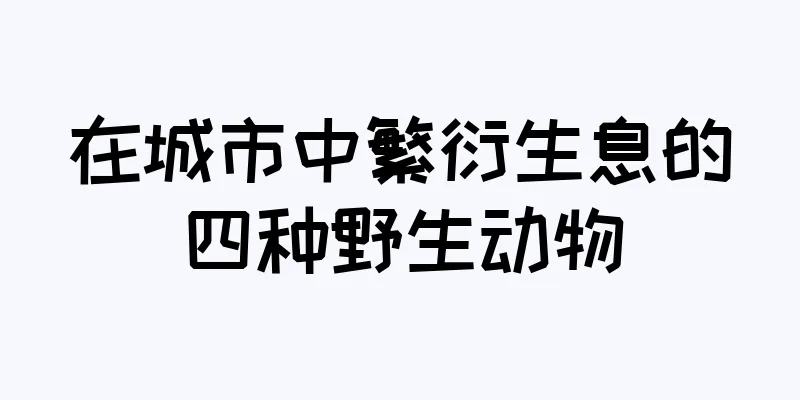 在城市中繁衍生息的四种野生动物