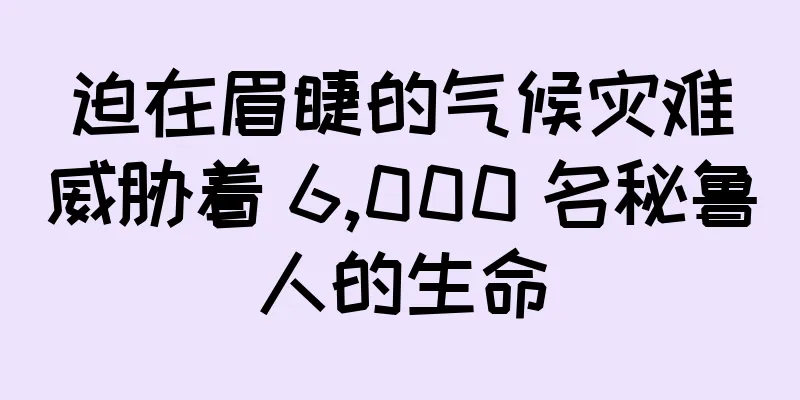 迫在眉睫的气候灾难威胁着 6,000 名秘鲁人的生命