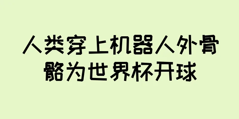 人类穿上机器人外骨骼为世界杯开球