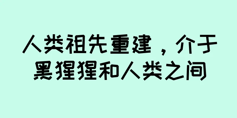 人类祖先重建，介于黑猩猩和人类之间