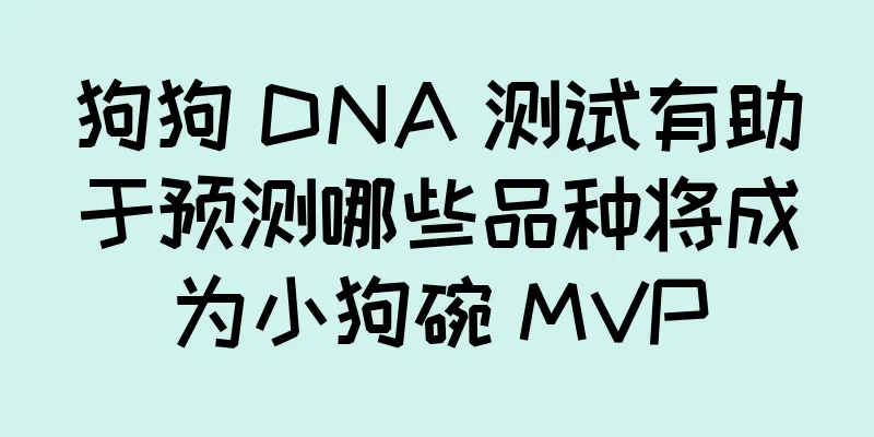 狗狗 DNA 测试有助于预测哪些品种将成为小狗碗 MVP