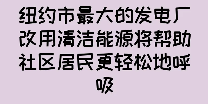 纽约市最大的发电厂改用清洁能源将帮助社区居民更轻松地呼吸
