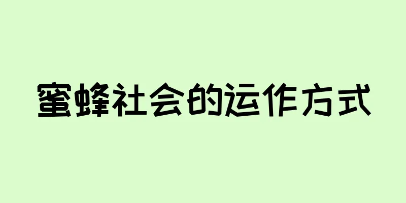 蜜蜂社会的运作方式