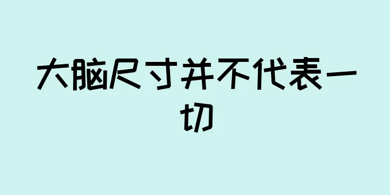 大脑尺寸并不代表一切