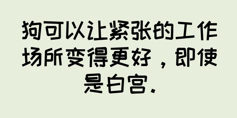 狗可以让紧张的工作场所变得更好，即使是白宫。