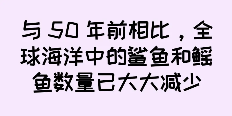 与 50 年前相比，全球海洋中的鲨鱼和鳐鱼数量已大大减少