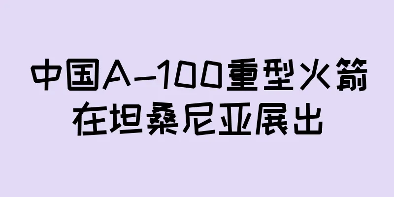 中国A-100重型火箭在坦桑尼亚展出