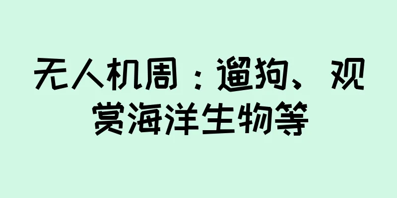 无人机周：遛狗、观赏海洋生物等