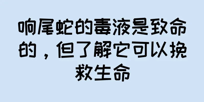 响尾蛇的毒液是致命的，但了解它可以挽救生命