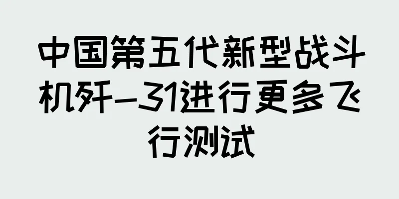 中国第五代新型战斗机歼-31进行更多飞行测试