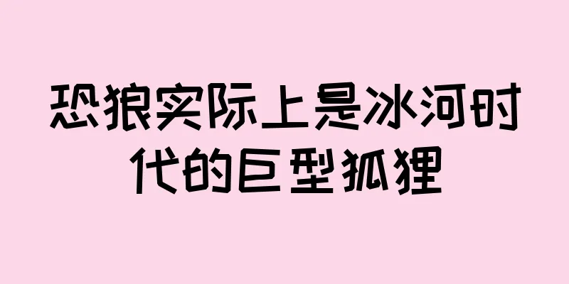 恐狼实际上是冰河时代的巨型狐狸