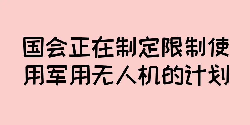 国会正在制定限制使用军用无人机的计划