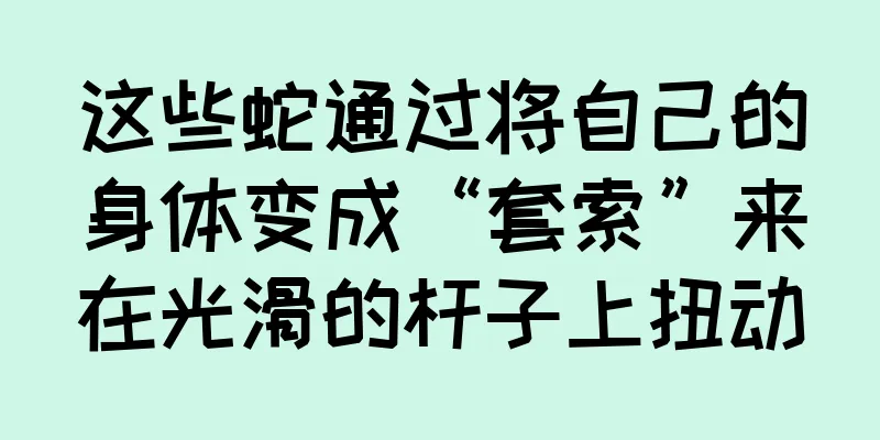 这些蛇通过将自己的身体变成“套索”来在光滑的杆子上扭动
