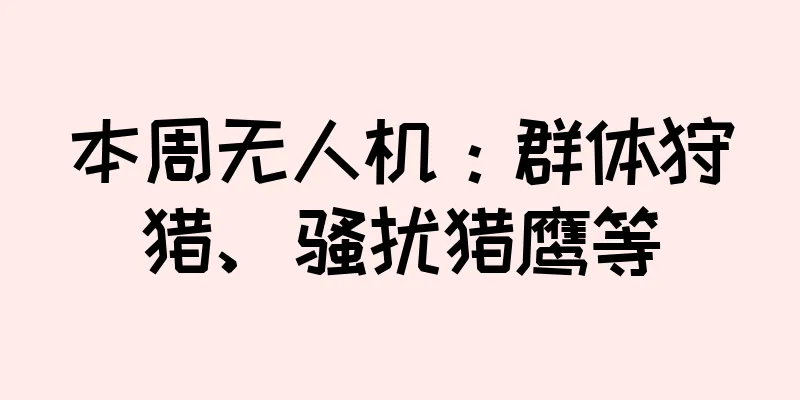 本周无人机：群体狩猎、骚扰猎鹰等