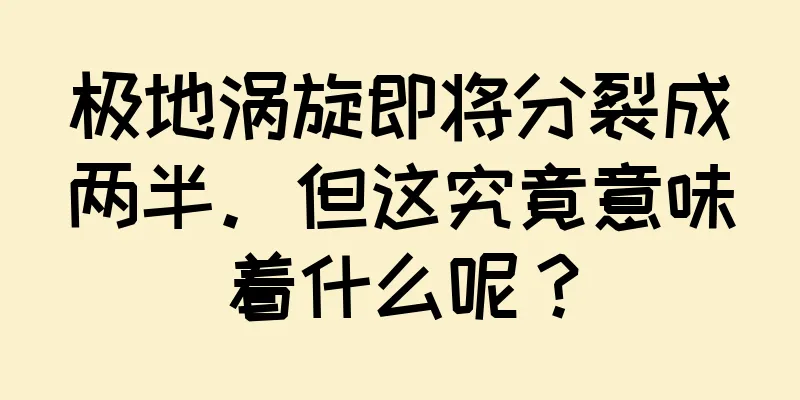 极地涡旋即将分裂成两半。但这究竟意味着什么呢？