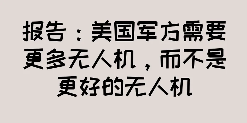 报告：美国军方需要更多无人机，而不是更好的无人机