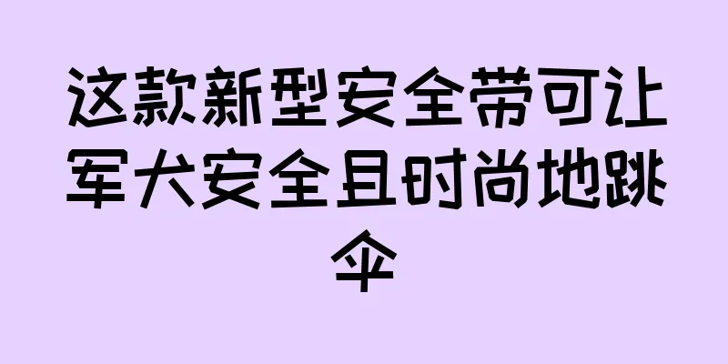 这款新型安全带可让军犬安全且时尚地跳伞