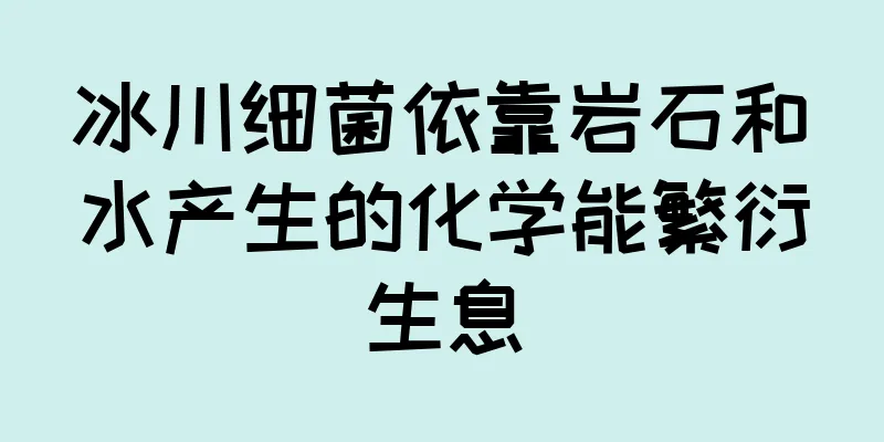 冰川细菌依靠岩石和水产生的化学能繁衍生息