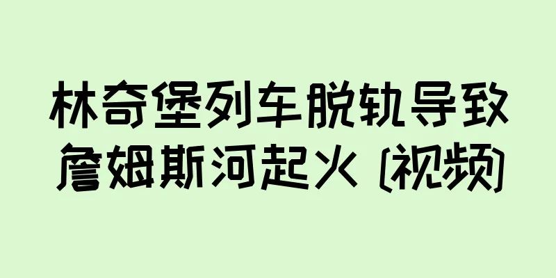 林奇堡列车脱轨导致詹姆斯河起火 [视频]