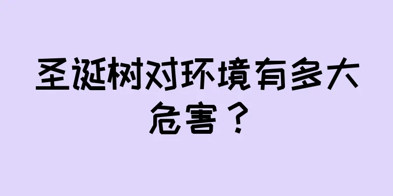 圣诞树对环境有多大危害？