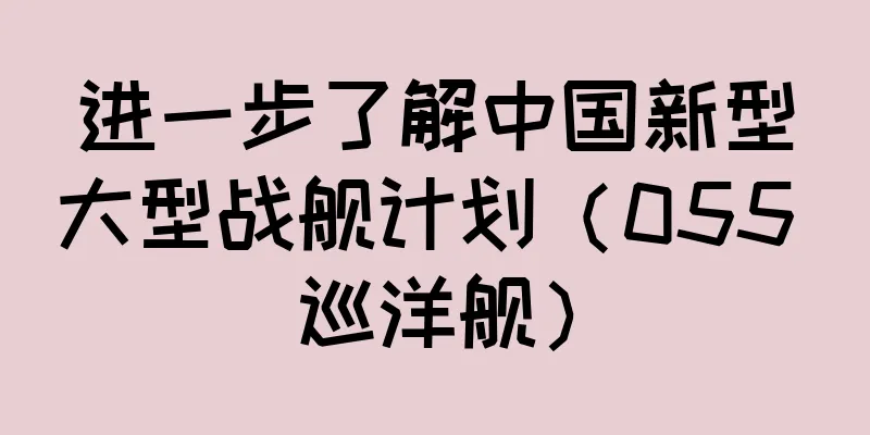 进一步了解中国新型大型战舰计划（055 巡洋舰）