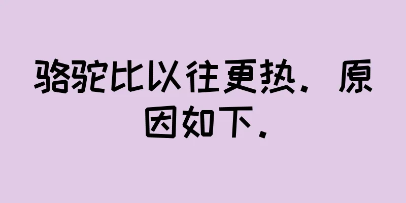 骆驼比以往更热。原因如下。