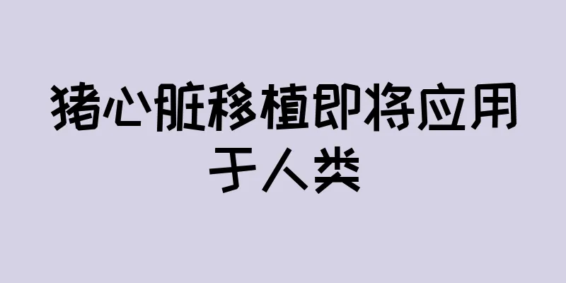 猪心脏移植即将应用于人类