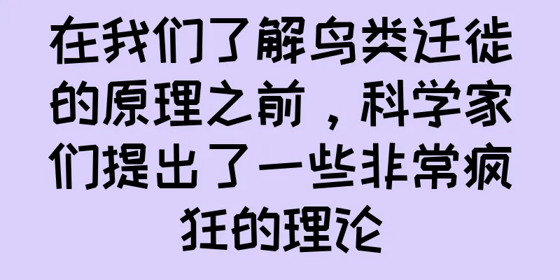 在我们了解鸟类迁徙的原理之前，科学家们提出了一些非常疯狂的理论