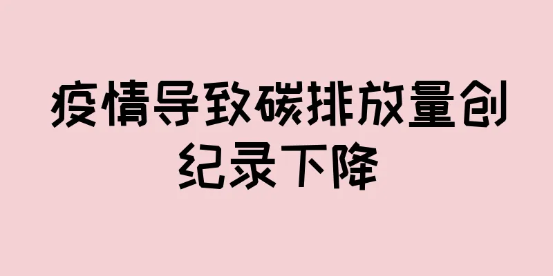 疫情导致碳排放量创纪录下降