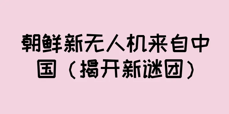 朝鲜新无人机来自中国（揭开新谜团）