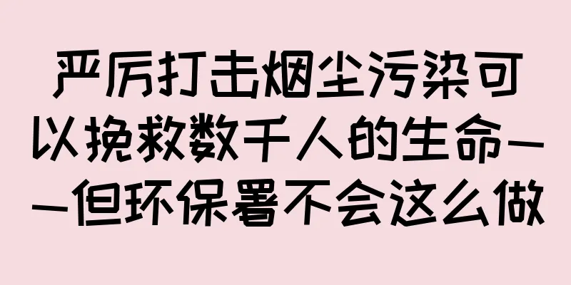 严厉打击烟尘污染可以挽救数千人的生命——但环保署不会这么做