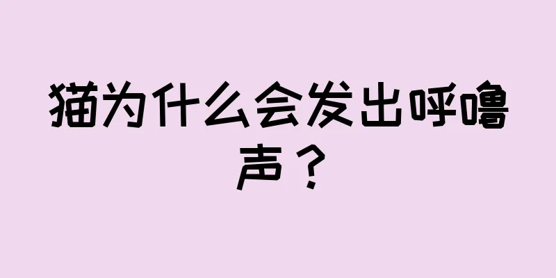猫为什么会发出呼噜声？