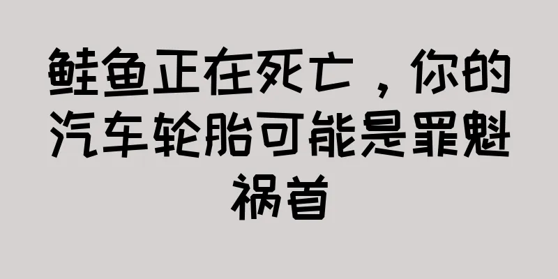 鲑鱼正在死亡，你的汽车轮胎可能是罪魁祸首