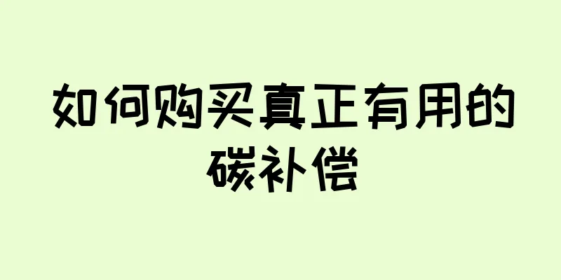 如何购买真正有用的碳补偿