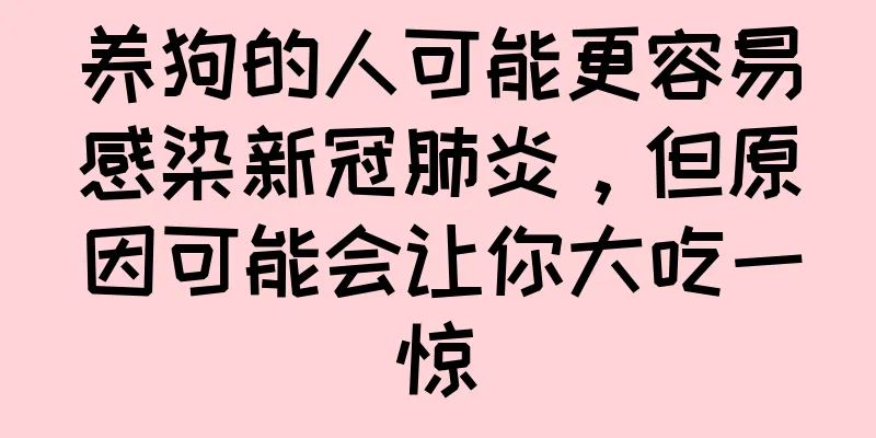 养狗的人可能更容易感染新冠肺炎，但原因可能会让你大吃一惊