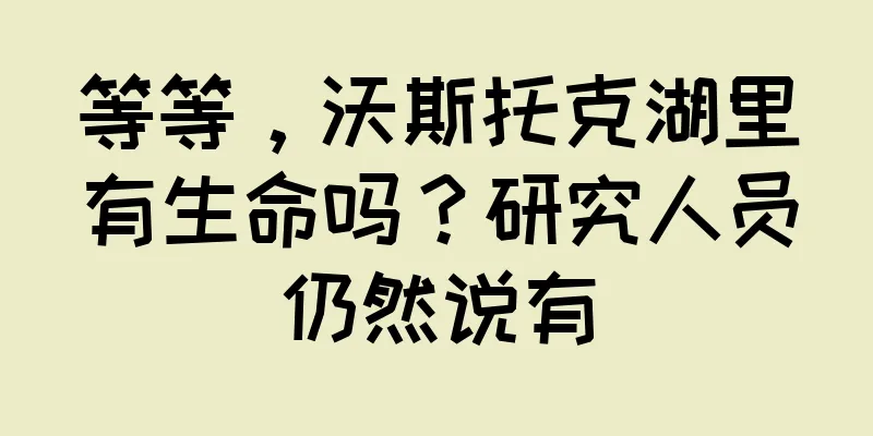 等等，沃斯托克湖里有生命吗？研究人员仍然说有
