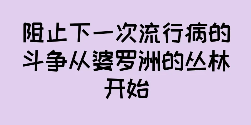 阻止下一次流行病的斗争从婆罗洲的丛林开始