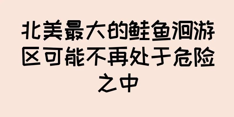 北美最大的鲑鱼洄游区可能不再处于危险之中