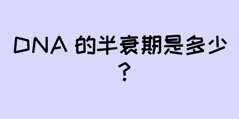 DNA 的半衰期是多少？