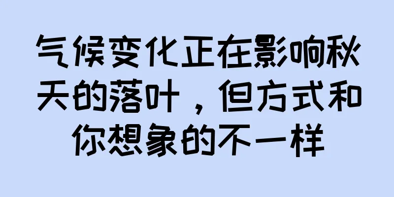 气候变化正在影响秋天的落叶，但方式和你想象的不一样