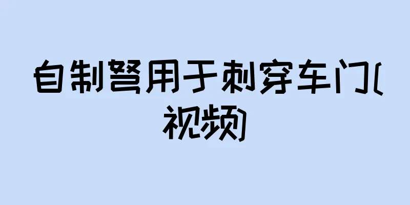 自制弩用于刺穿车门[视频]