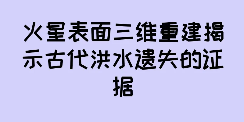 火星表面三维重建揭示古代洪水遗失的证据