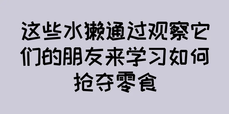这些水獭通过观察它们的朋友来学习如何抢夺零食