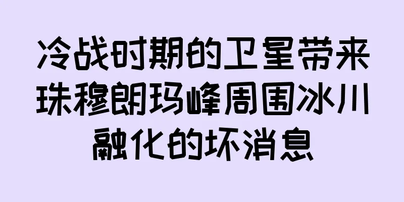 冷战时期的卫星带来珠穆朗玛峰周围冰川融化的坏消息