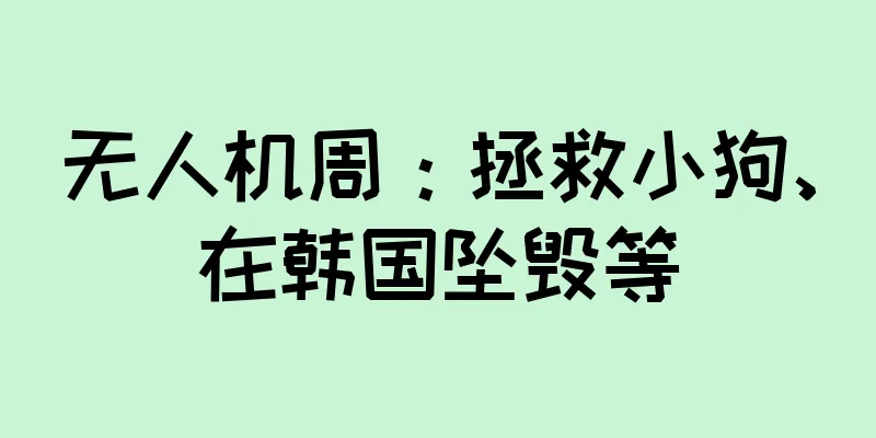 无人机周：拯救小狗、在韩国坠毁等